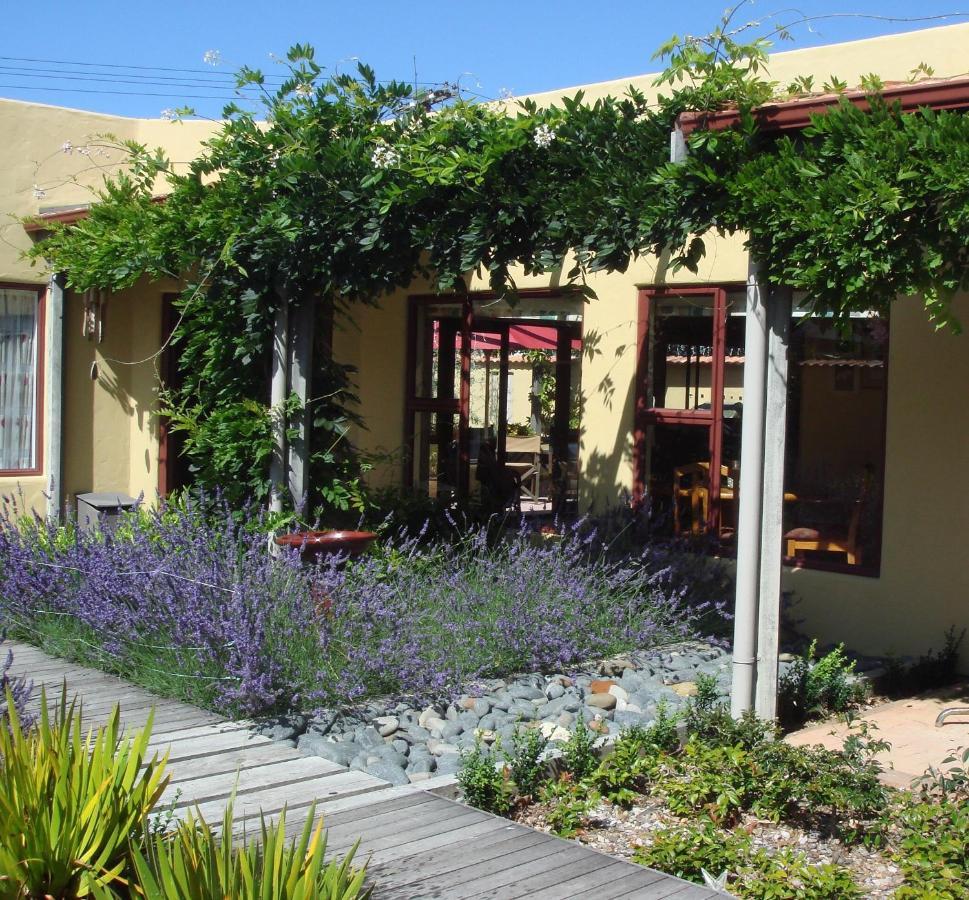 El Kedira - Campbells Beach Holiday Home Tawharanui Exteriér fotografie